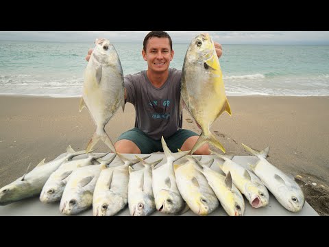 Florida&#039;s MOST Expensive Fish! Catch Clean Cook- Florida Pompano
