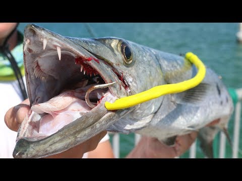 Fish CANNOT Resist My HOMEMADE Lure! EPIC Topwater Barracuda Fishing