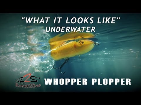 River2Sea Whopper Plopper | What it Looks Like Underwater