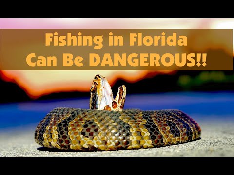 8 Year Old Boy Takes 10 Years Off My Life! (Fishing Story) | Salty101 Fishing