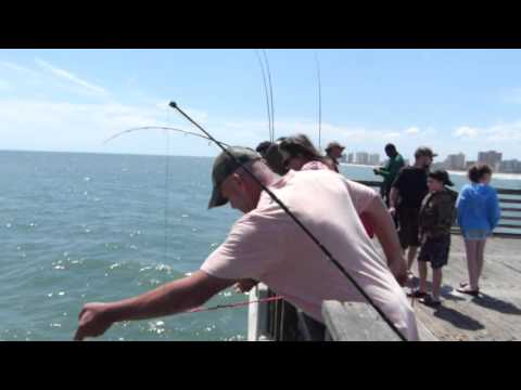 Catching Fish at Jacksonville Beach Pier, Jacksonville, FL