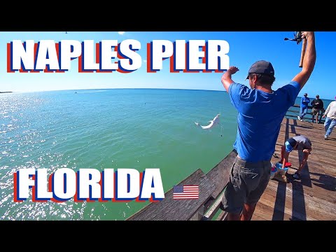 Naples Pier Walking Tour: Best Pier Fishing In Florida?