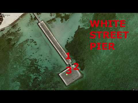Key West White Street Pier - How To Tarpon