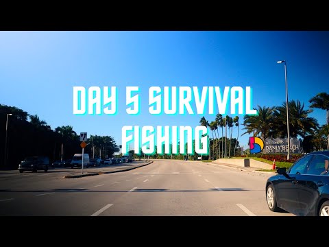 Day 5 Dania Beach Pier | Surviving Off What I Catch