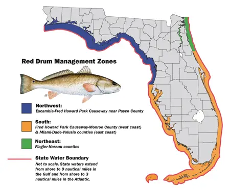 redfish limits laws saltwater