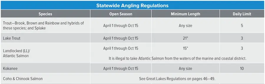 Salmon fishing chart for New York State regulations and restrictions.