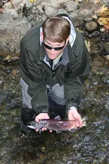 Releasing salmon in stream after tagging.