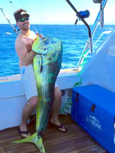 pound mahi mahi