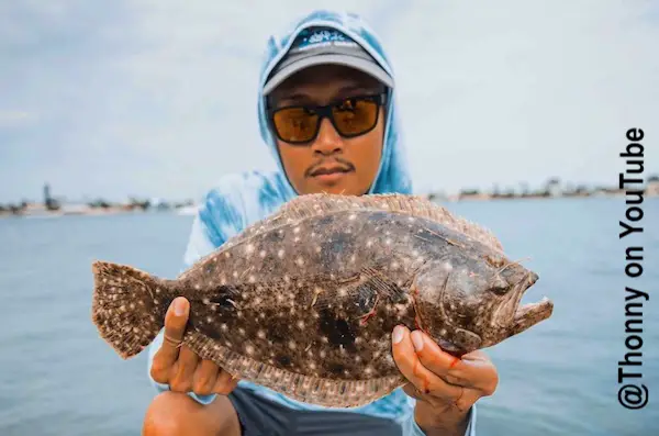 Large flounder caught on boat in St. Petersburg, Florida.