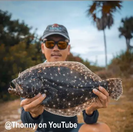 A Clearwater Florida flounder caught with rod and reel by Thonny at YouTube.