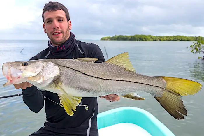 Florida angler holding a big strong snook fish.