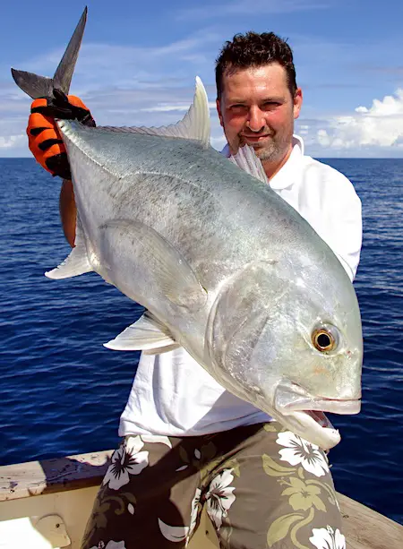 A medium size Giant Trevally (GT) fish caught on rod and reel.