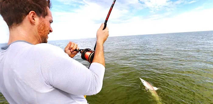 Catching sharks with baitcasting reel and heavy duty action rod up to the task.
