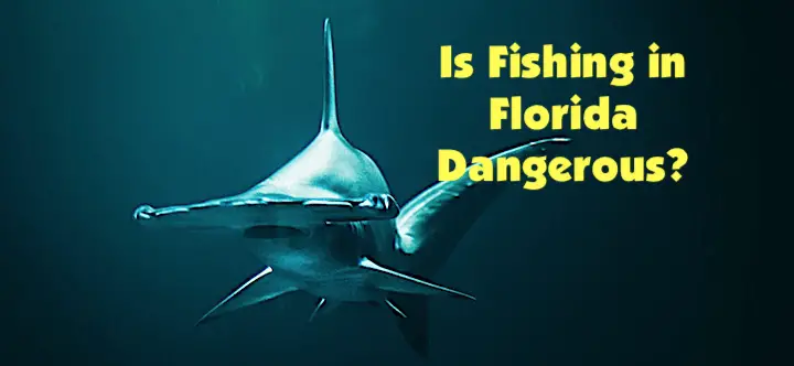Is Fishing in Florida Dangerous? Sometimes it is!