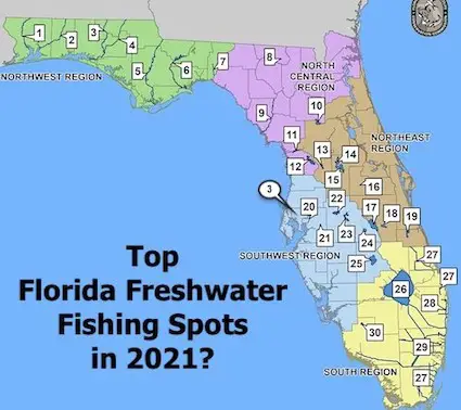 Thirty One of the best Florida freshwater fishing spots in the state!