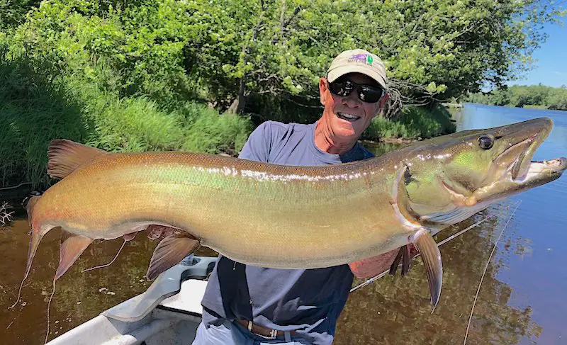 Angler and inventor of the Whopper Plopper lure set for topwater freshwater and saltwater fishing holding a massive muskie in Costa Rica.