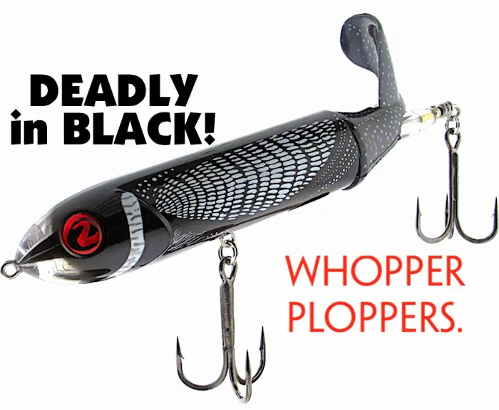 One of the best colors of Whopper Plopper, the black loon.