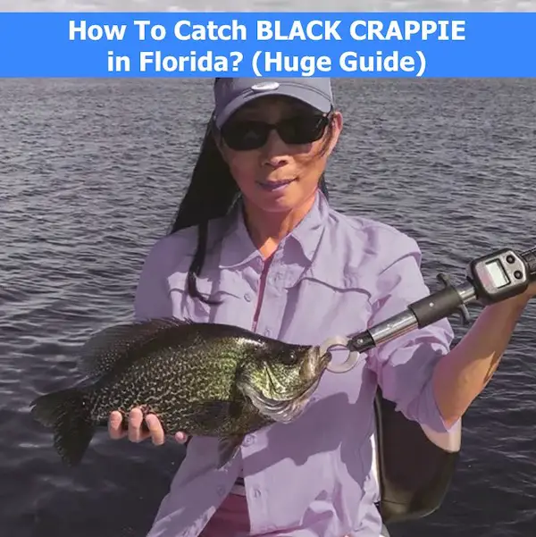Florida black crappie fishing guide.