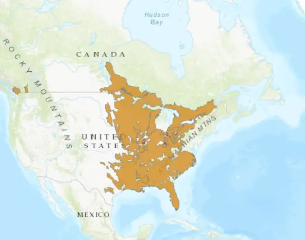 Map showing (in brown) black crappie distribution throughout USA.