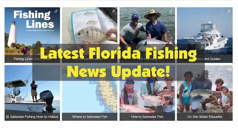 Latest news and announcements about fishing in Florida. Topics like red tide, regulation changes, season changes, and more.
