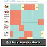 Florida Atlantic Season fishing calendar.