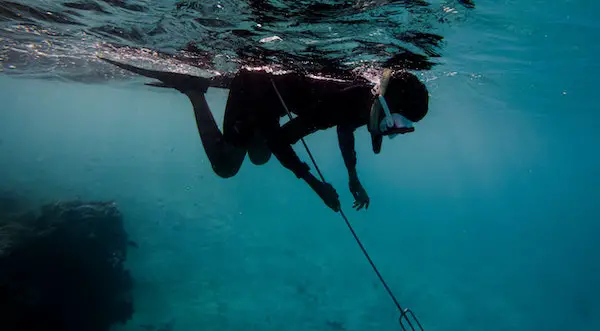 Spearfishing with 3-prong gig spear underwater.
