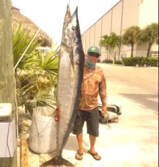 Captain Romeros with his 202 lb. wahoo catch, the biggest ever landed but he fell foul of the IGFA rule book!