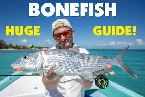 Bonefish fishing guide for the Florida Coast.