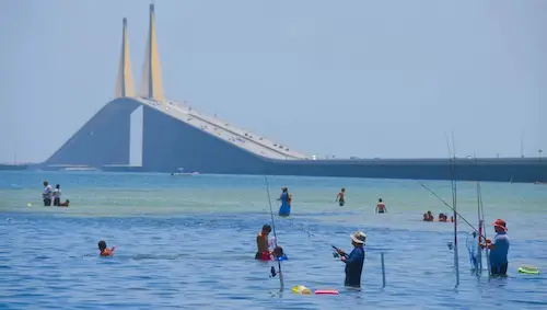 Anglers fishing in water (wade-fishing) at Sunshine Skyway Bridge in St. Petersburg, Florida.