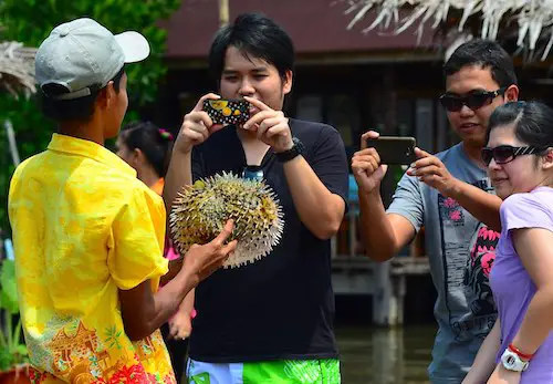 Blowfish being shown to tourists.