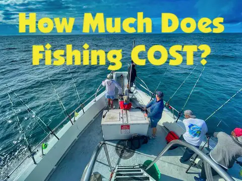 Fishing charters and rental gear for fishing costs in Florida.