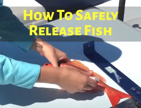 How to release fish safely with de-hooking tools, venting tools, descending devices, and proper handling of all fish caught.