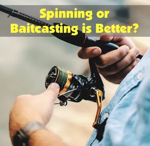 Which reel is better for your type of fishing, a baitcasting or spinning reel? Complete comparison.