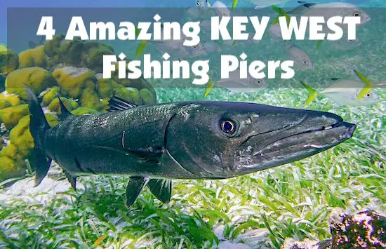 Key West fishing piers you can visit for free and catch fish all night long.