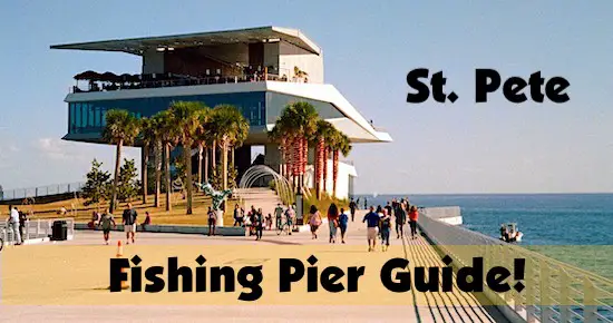 St. Pete Pier fishing guide for those near St. Petersburg, Florida.