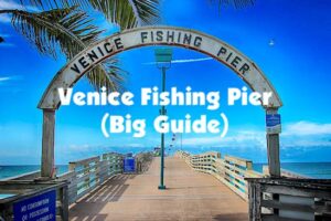 Huge guide for fishing on the Venice Fishing Pier in Florida on the west coast.
