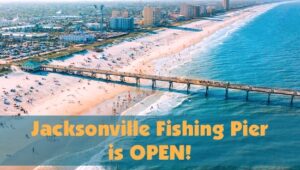 Jacksonville Beach Fishing Pier aerial view showing pier, beach, town.