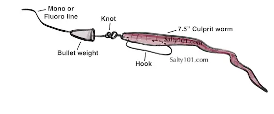 Texas Rig illustration showing bullet weight, hook, line, and 7.5 inch Culprit plastic worm.