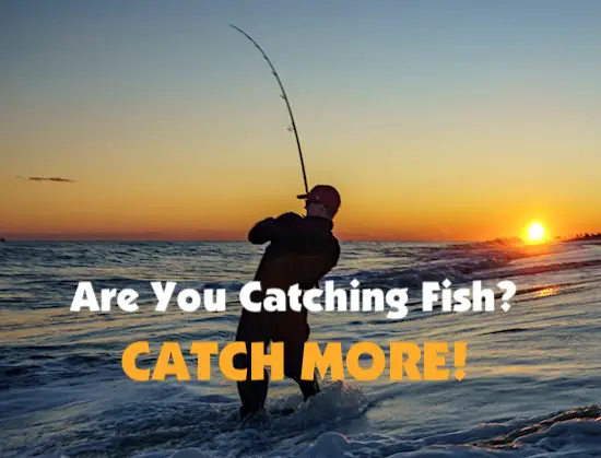 How to catch more fish by taking into account the big picture. So many fishing variables to consider and learn.
