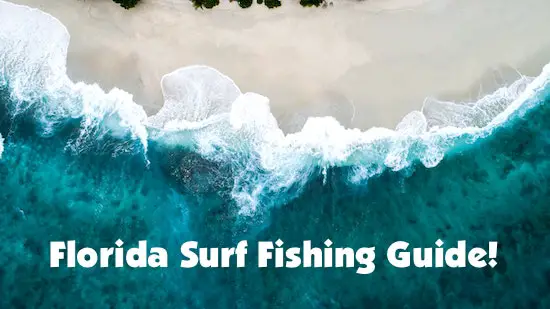 Florida surf fishing guide aerial photo of beach and waves.