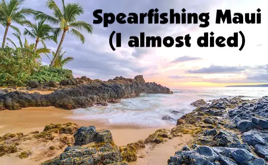 Spearfishing on Maui Island story.