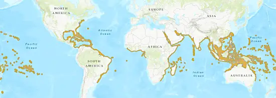 Range and distribution of Barracuda fish worldwide in map from iucnredlist.org.