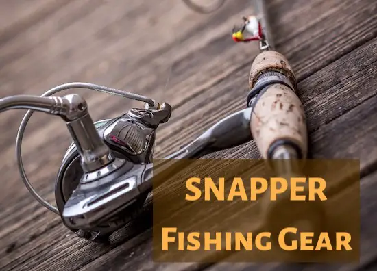 Snapper fishing gear - rods and reels and rigs.